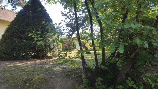 Kuća, Prodaja, 296m2, Selenča, Gradska lokacija, Sombor