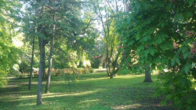 Kuća, Prodaja, 296m2, Selenča, Gradska lokacija, Sombor