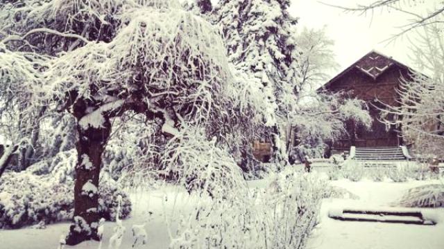 Kuća, Prodaja, 296m2, Selenča, Gradska lokacija, Sombor