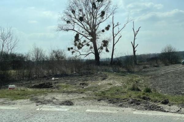 prodaja, plac,
bezdan-opstina-sombor, 477011, plac