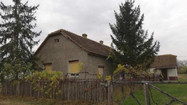 Kuća, Prodaja, 209m2, Bilić, Okolno mesto, Sombor