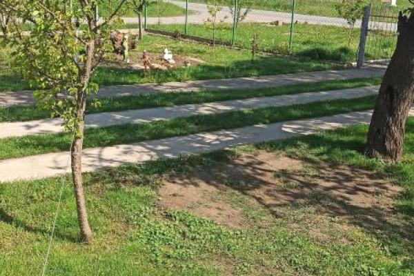 prodaja, kuca,
lugomerci-opstina-sombor, 476855, kuca