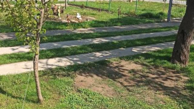 Kuća, Prodaja, 240m2, Lugomerci, Okolno mesto, Sombor