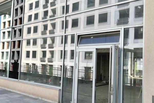 izdavanje, poslovni-prostor,
novi-beograd-beograd, 477800, jednosoban-tresnjinog-cveta