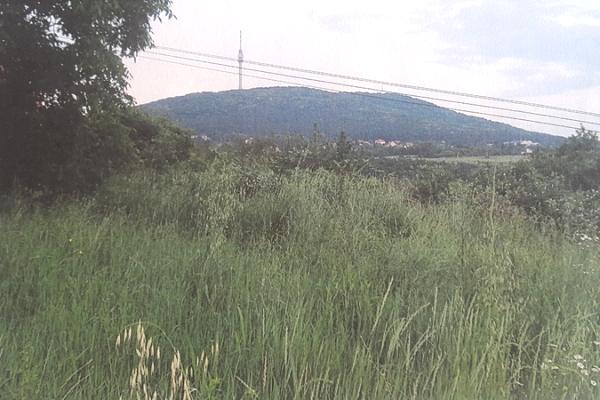 prodaja, plac,
avala-sopot-beograd, 477847, zarka-savica