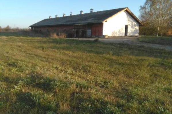 prodaja, poslovni-prostor,
veliki-popovic-opstina-despotovac, 477994, poslovni-prostor