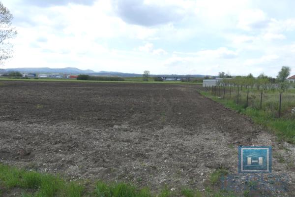 prodaja, plac,
opstina-jagodina, 478106, plac