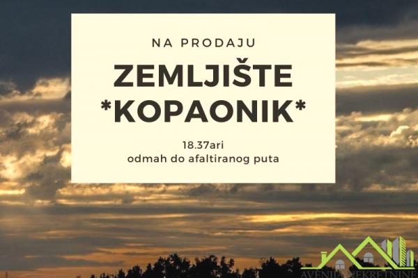 prodaja, plac,
cajetinska-cesma-planina-kopaonik, 478316, plac