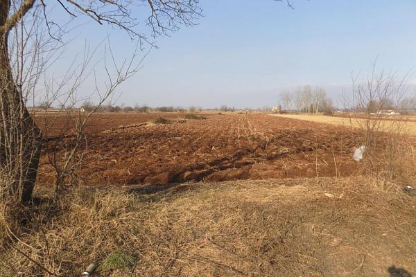 prodaja, plac,
dankovo-grad-paracin, 478555, plac