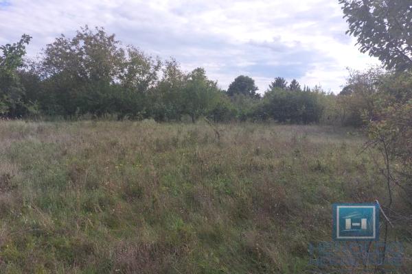 prodaja, plac,
karadjordjevo-brdo-grad-paracin, 478579, plac