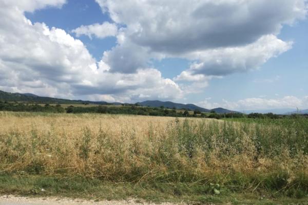 prodaja, plac,
suvi-dol-opstina-vranje, 477610, plac