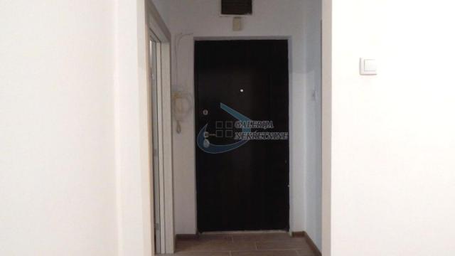 Stan, Jednoiposoban, Izdavanje, 40m2, Profesorska kolonija, Palilula, Cvijićeva