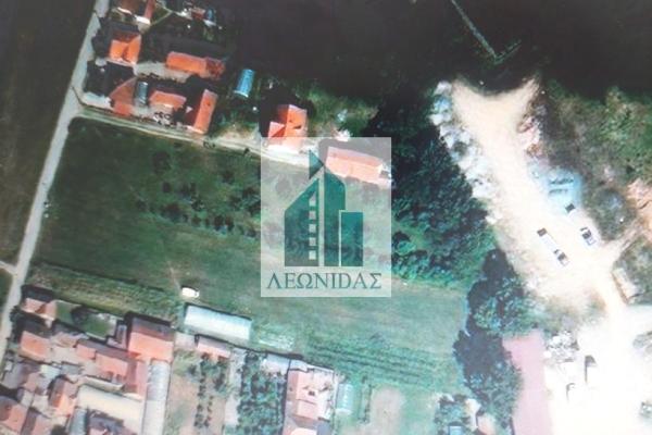 prodaja, plac,
boljare-opstina-vlasotince, 498704, plac