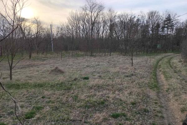 prodaja, plac,
kajtasovo-opstina-bela-crkva, 523412, kajtasovo