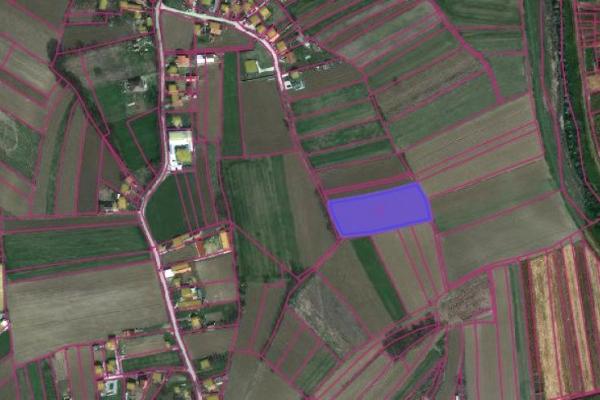 prodaja, plac,
ribare-opstina-jagodina, 523584, plac