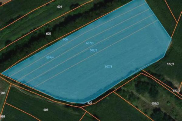 prodaja, plac,
brzan-opstina-batocina, 529901, plac