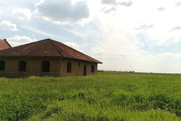 prodaja, kuca,
torak-opstina-zitiste, 539143, cetvorosoban-torak