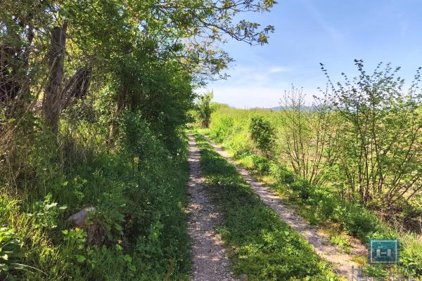 prodaja, plac,
trnava-grad-jagodina, 539707, plac