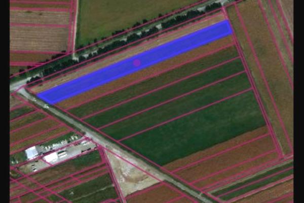 prodaja, plac,
nova-pazova-opstina-stara-pazova, 545763, nova-pazova