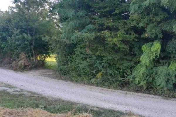 prodaja, plac,
banja-vrujci-opstina-kosjeric, 553136, plac