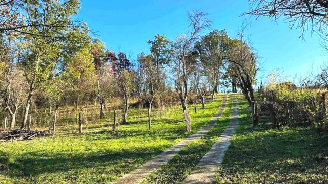 Kuća, Trosoban, Prodaja, 45m2, Rajac, Okolno mesto, Rajac