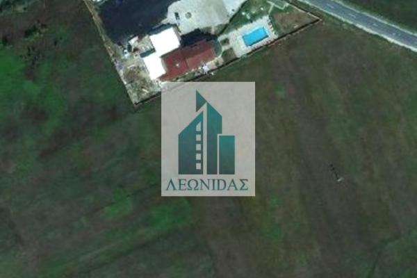 prodaja, plac,
9-maj-palilula-nis, 559397, plac