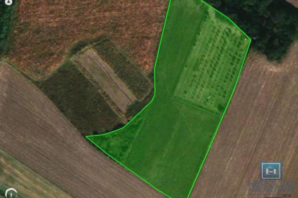 prodaja, plac,
supska-opstina-cuprija, 575863, plac