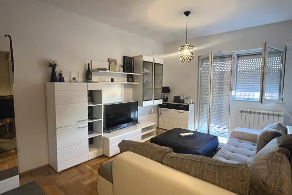 izdavanje, stanova,
altina-zemun-beograd, 576954, jednosoban-abebe-bikile