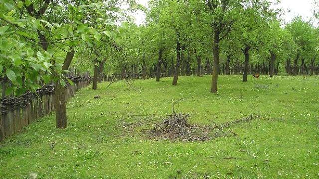 Kuća, četvorosoban, Prodaja, 150m2, Robaje, Okolno mesto, Robaje