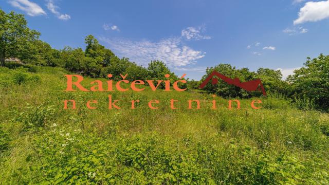 Plac, Prodaja, 1599m2, Jajinci, Voždovac, Drenovska