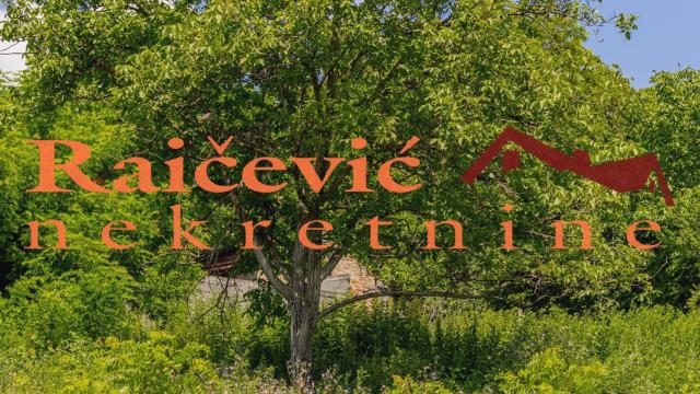 Plac, Prodaja, 1599m2, Jajinci, Voždovac, Drenovska
