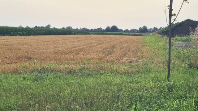 Plac, Prodaja, m2, Blok B, Gradska lokacija, Marka Aurelija