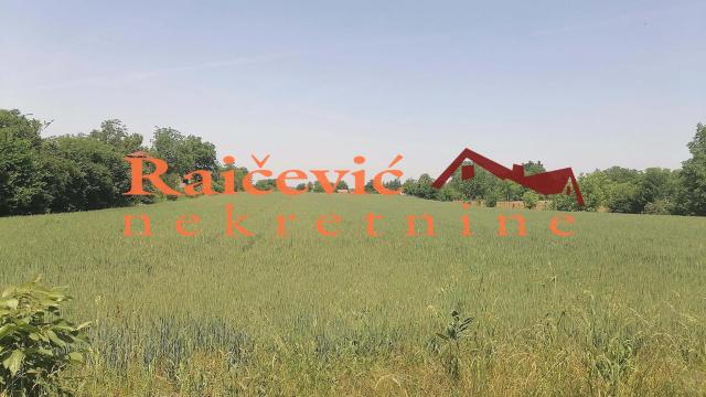 Plac, Prodaja, 1495m2, Vranić, Barajevo, Slobodana Todorovica