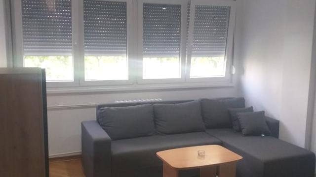 Stan, Jednoiposoban, Izdavanje, 33m2, Paviljoni, Novi Beograd, Otona Župančiča