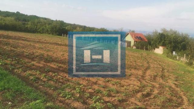 Kuća, Dvosoban, Prodaja, 60m2, Majur, Okolno mesto, Jagodina