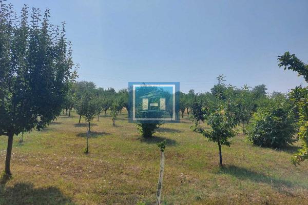 prodaja, plac,
opstina-paracin, 614290, plac