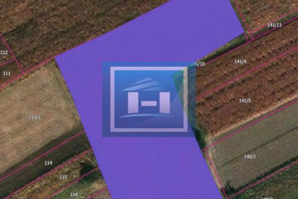 prodaja, plac,
majur-opstina-jagodina, 625866, plac