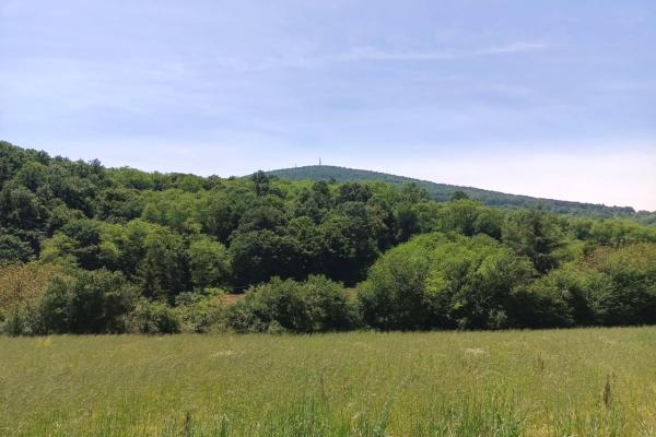 prodaja, plac,
nemenikuce-sopot-beograd, 628934, nemenikuce