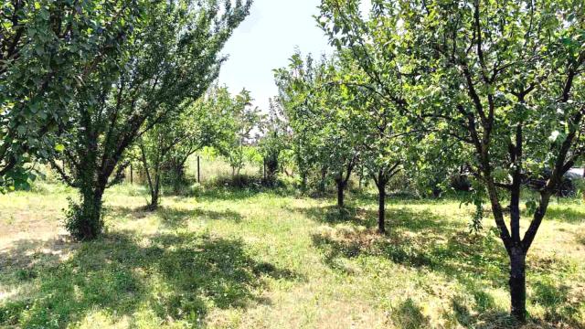 Plac, Prodaja, m2, Pinosava, Voždovac, Brace Nenadovic