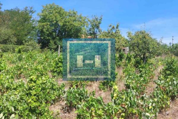 prodaja, plac,
karadjordjevo-brdo-grad-paracin, 641958, plac