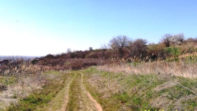 Plac, Prodaja, m2, Višnjica, Palilula, Potes Vinogradi