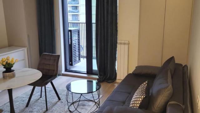 Stan, Garsonjera, Izdavanje, 30m2, Beograd na vodi, Savski venac, Bulevar Vudroa Vilsona