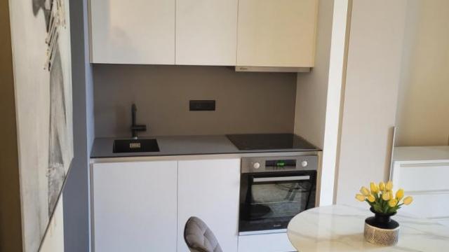 Stan, Garsonjera, Izdavanje, 30m2, Beograd na vodi, Savski venac, Bulevar Vudroa Vilsona