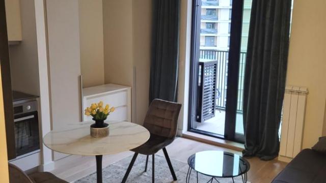 Stan, Garsonjera, Izdavanje, 30m2, Beograd na vodi, Savski venac, Bulevar Vudroa Vilsona