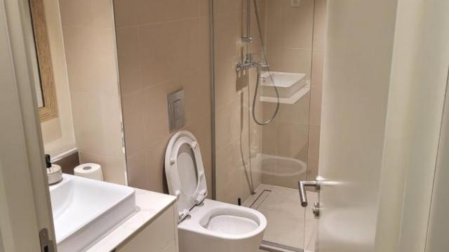 Stan, Garsonjera, Izdavanje, 30m2, Beograd na vodi, Savski venac, Bulevar Vudroa Vilsona