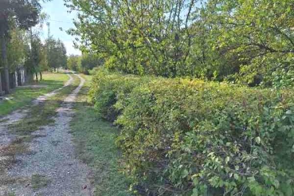 prodaja, plac,
simanovci-opstina-pecinci, 669350, vojvode-misica