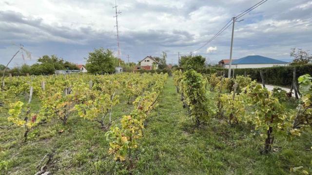 Plac, Prodaja, m2, Djurdjevo brdo, Gradska lokacija, Jagodina