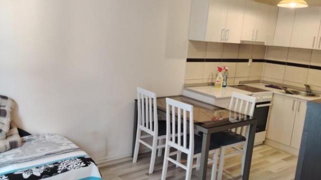 Stan, Jednosoban, Izdavanje, 35m2, Centar, Gradska lokacija, Jagodina