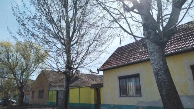 Kuća, Petosoban i veći, Prodaja, 160m2, Čantavir, Okolno mesto, Kis Ferenca