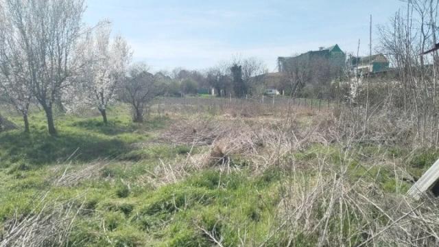 Kuća, Petosoban i veći, Prodaja, 160m2, Čantavir, Okolno mesto, Kis Ferenca